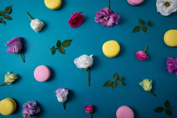 Fleurs Colorées Macarons Sur Fond Bleu Vue Dessus — Photo