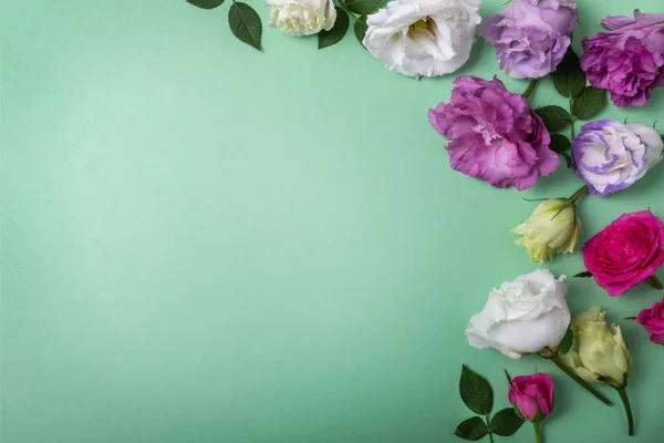 Flores Sobre Fondo Verde Con Espacio Copia — Foto de Stock
