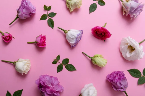 花壁纸 粉红色背景的玫瑰和荔枝花 顶部视图 — 图库照片