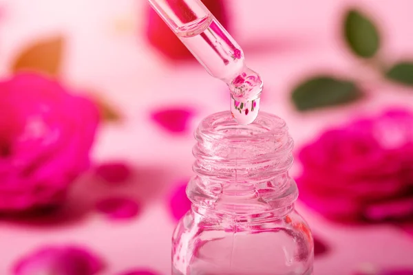 Крапельниця Трояндовою Квіткою Ефірна Олія Падає Над Пляшкою — стокове фото