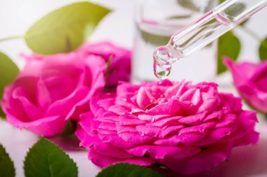 Çiçekli damlacıklar gül çiçeğinin üzerine yağ damlatırlar.