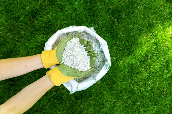 Feeding Lawn Granular Fertilizer Perfect Green Grass — Stock Photo, Image