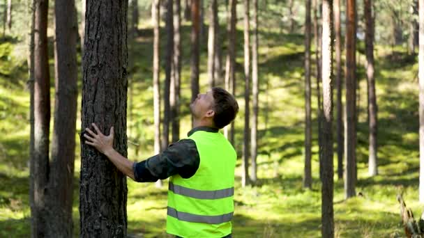 Engenharia Gestão Florestal Recursos Renováveis Silvicultor Que Inspeciona Qualidade Pinheiro — Vídeo de Stock