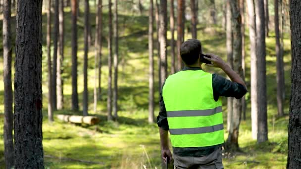 Silvicultor Está Observar Desenvolvimento Floresta Silvicultura Florestação — Vídeo de Stock