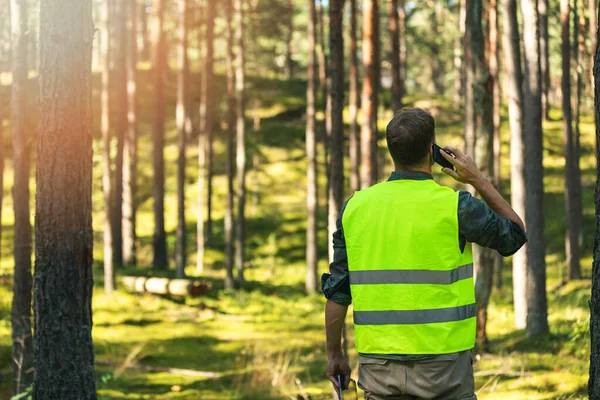 Skogvaktaren Bevakar Skogens Utveckling Skogsbruk Och Beskogning — Stockfoto