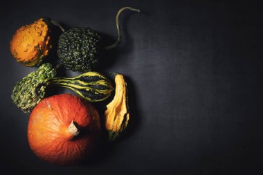 Siyah arka planda bir grup dekoratif balkabağı. üst görünüm kopyalama alanı