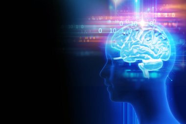 Teknoloji arka planında insan beyninin 3 boyutlu yorumlanması yapay zekayı ve siber uzay konseptini temsil ediyor.