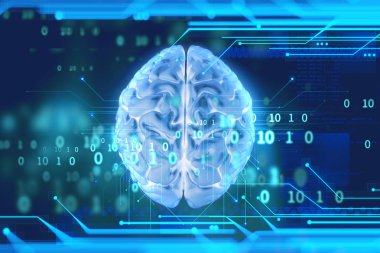 Teknoloji arka planında insan beyninin 3 boyutlu yorumlanması yapay zekayı ve siber uzay konseptini temsil ediyor.