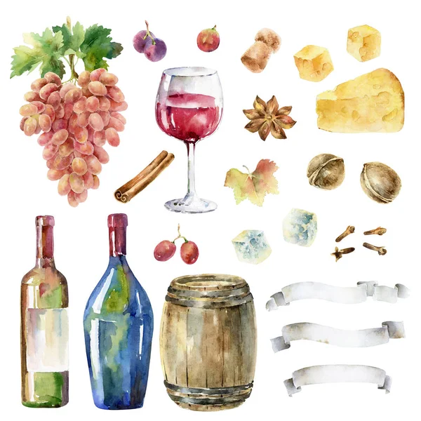 Handgezeichnete bemalte Aquarell-Illustration mit Trauben, einem Glas Wein, Gewürzen und anderen Elementen — Stockfoto