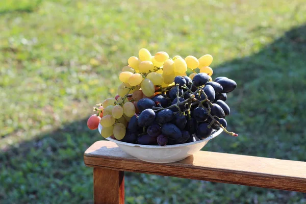 Deliciosas uvas maduras em prato — Fotografia de Stock