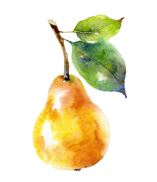 Watercolor yellow pear isolated on white background