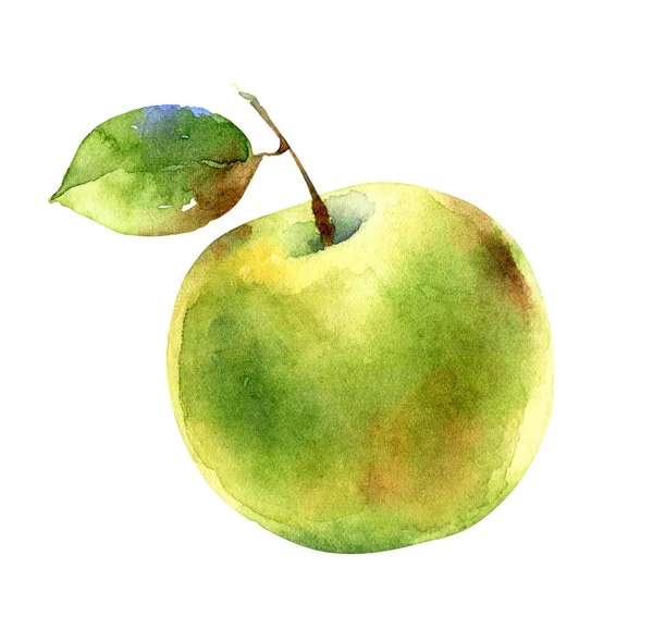 Watercolor green apple isolated on white background — Stock Photo, Image