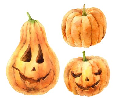 Beyaz arka plan üzerinde izole parlak turuncu kabak seti. Tatil Cadılar Bayramı sembolü