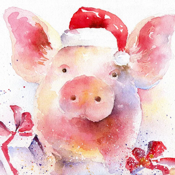 Noel Baba şapkalı domuz yavrusu. Yeni 2019 sembolü — Stok fotoğraf