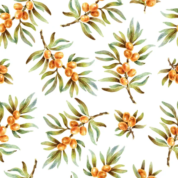 Watercolor seamless pattern with sea buckthorn berries — Stock Photo, Image