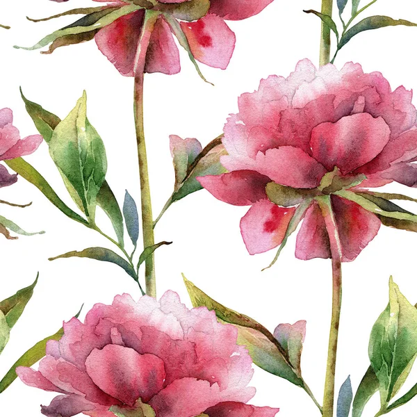 Watercolor seamless pattern with peonies — Stock Photo, Image