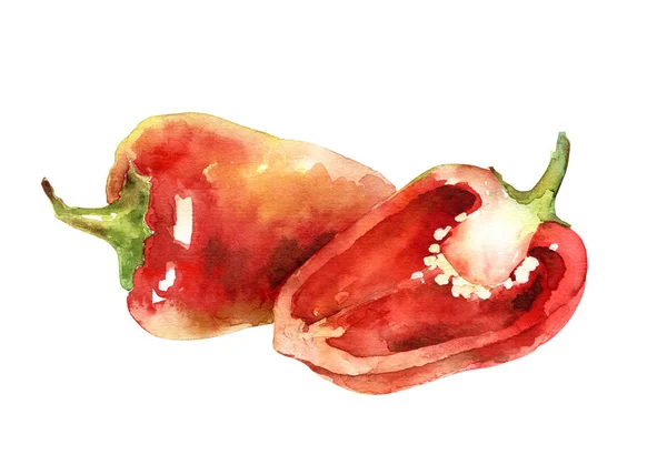 Akvarel-papriky izolované na bílém pozadí — Stock fotografie