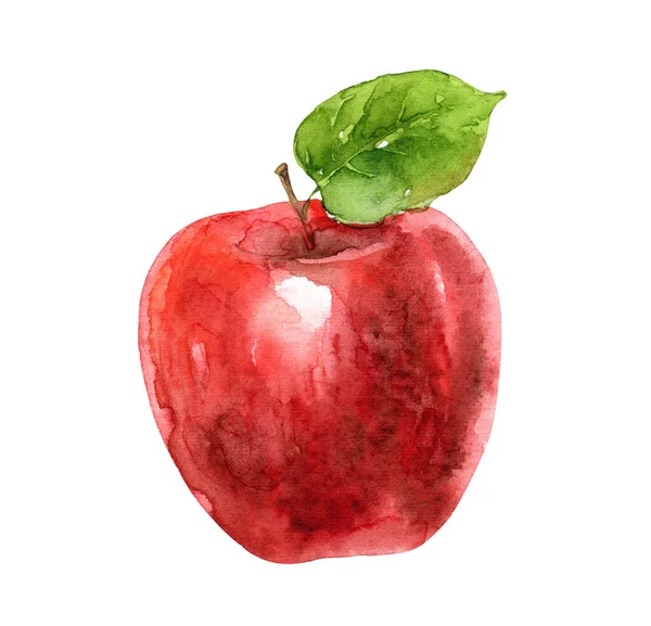 Aquarell roter Apfel isoliert auf weißem Hintergrund — Stockfoto