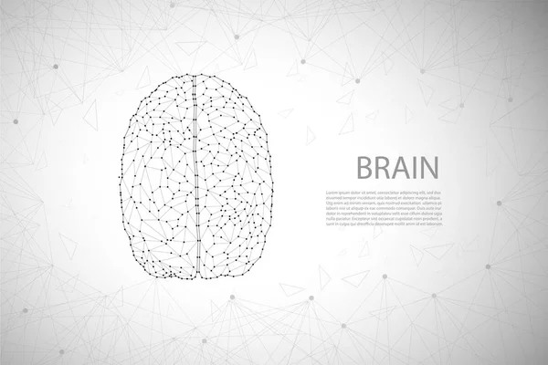 Концепция Мозга Полигональной Векторной Иллюстрацией Мозга — стоковый вектор