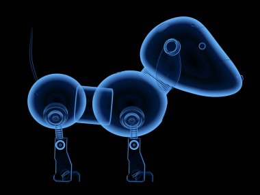 Köpek robot x-ray