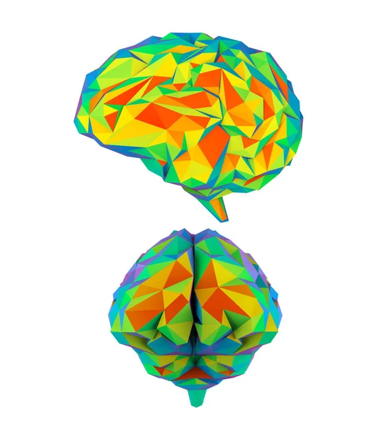 다채로운 다각형 뇌 — 스톡 사진