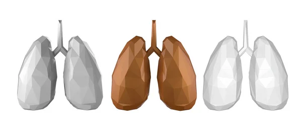 Polygonal lungs isolated — Stock Photo, Image
