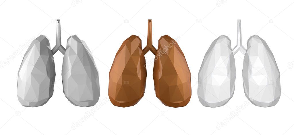 Polygonal lungs isolated