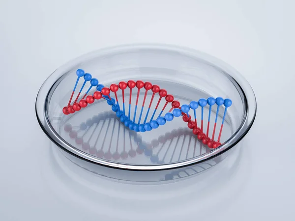 Структура спіралі ДНК — стокове фото