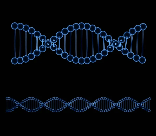 Estrutura da hélice de dna de raios X — Fotografia de Stock