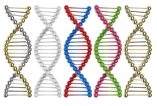 Dna 나선 구조 — 스톡 사진