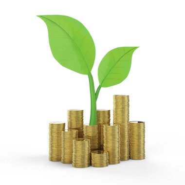 Finansal büyüme kavramı 