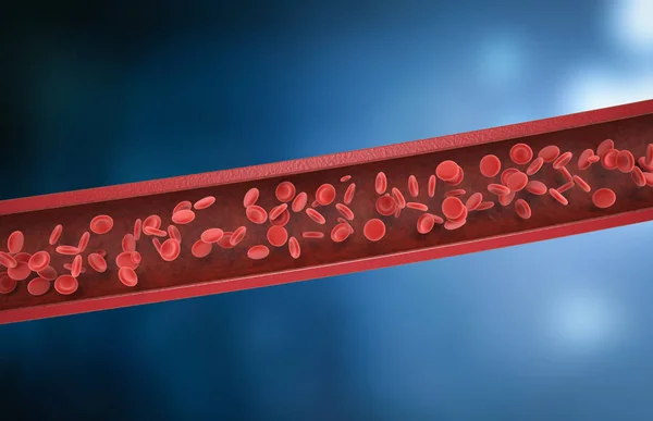 静脈の赤血球 — ストック写真