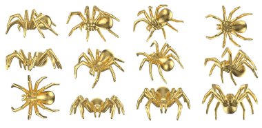 Beyaz üzerinde izole edilmiş 3D çokgen tarantula seti