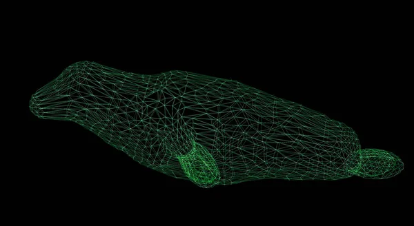 3D渲染线框多边形密封隔离在黑色上 — 图库照片