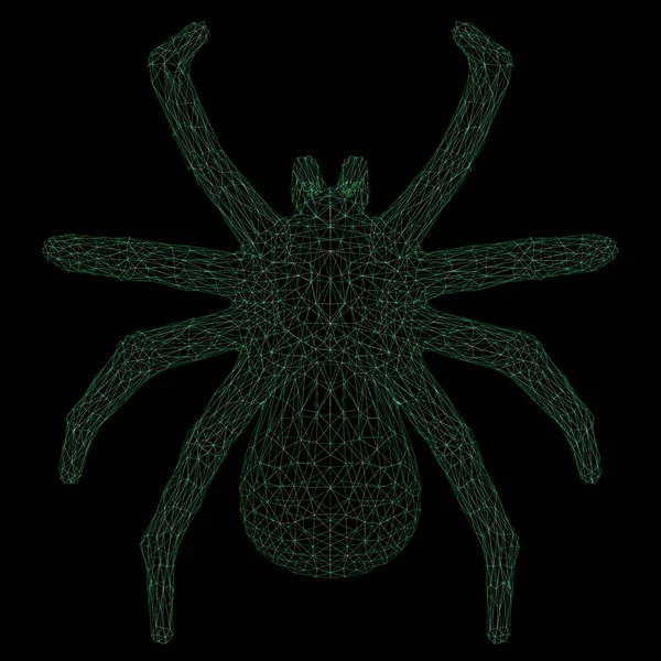 Rendering Draad Frame Veelhoekige Tarantula Geïsoleerd Zwart — Stockfoto