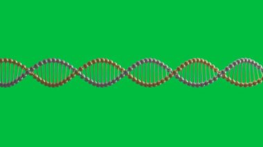 3 boyutlu DNA sarmalını yeşil ekran arka planında izole etmek