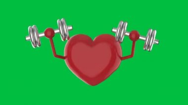 Yeşil ekran arka plan 4k görüntülerinde 3D rending kırmızı kalp dambıl tutuyor