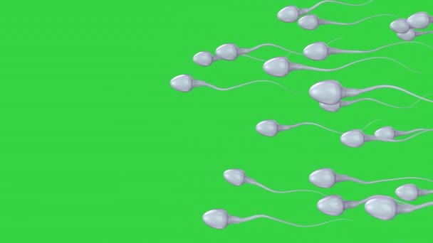 Группа сперматозоидов на зеленом экране — стоковое видео
