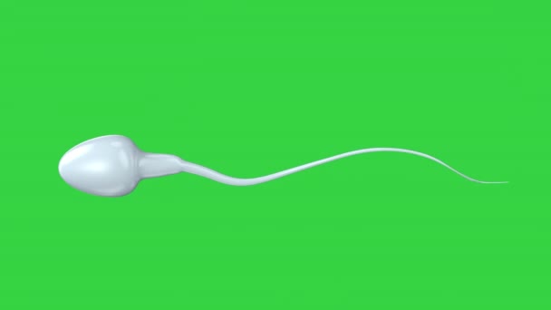 Esperma en pantalla verde — Vídeo de stock