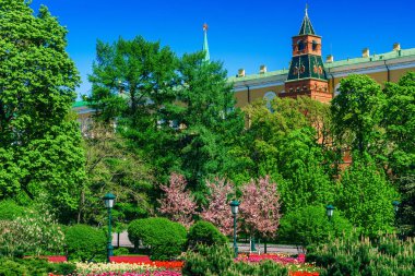 Moskova Kızıl Meydan Kremlin Kulesi, Kremlin kırmızı tuğla duvar, yeşil ağaçlar ve çiçekler Alexander Bahçe (Aleksandrovskiy Sad) görüntüleyin. Ünlü gezi Moskova Kremlin Kızıl meydan