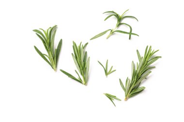 Yeşil fışkın taze biberiye beyaz bir arka plan üzerinde izole.