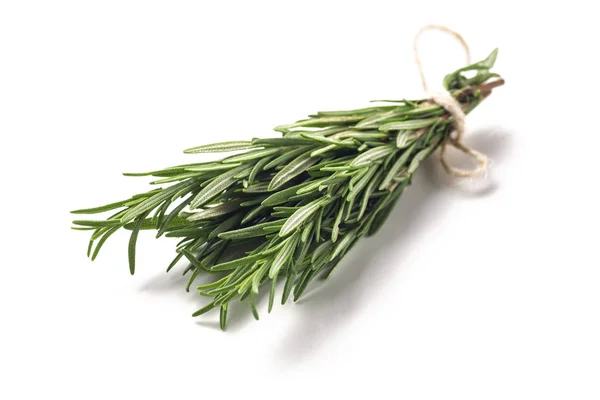 Fresh Green Sprig Rosemary Isolated White Background Royalty Free Stock Photos