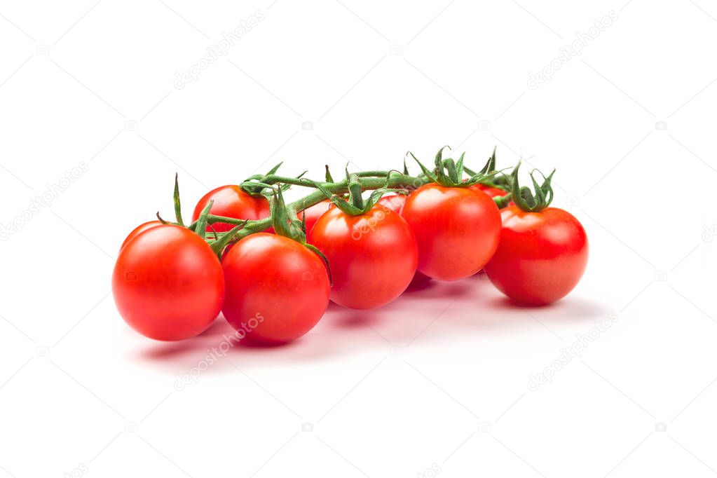 Ripe Fresh Cherry Tomatoes on Branch Isolated on White Background