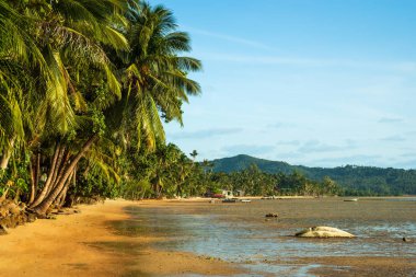 Beyaz kum ve palmiye yaprağı ile günbatımı plaj.