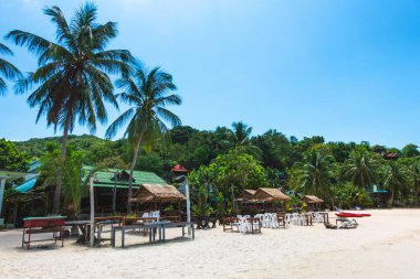 Palmiye ve mavi ile tropikal tesis açık hava Restoran görüntüle 