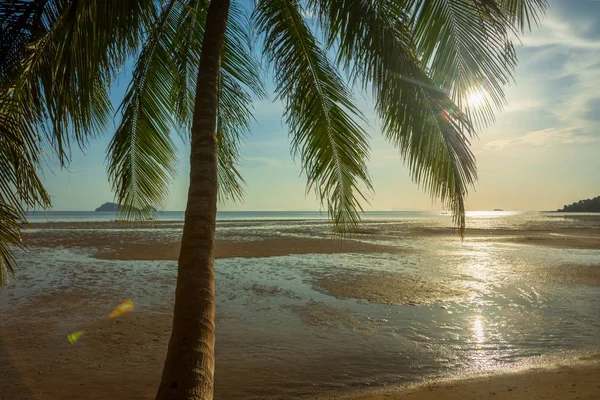 Plage au coucher du soleil avec sable blanc et feuilles de palmier . — Photo