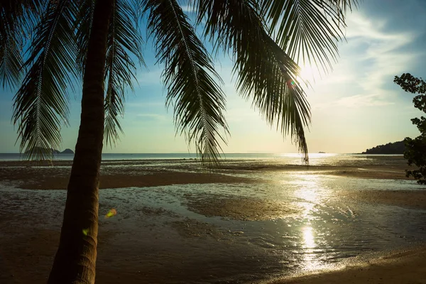 Plage au coucher du soleil avec sable blanc et feuilles de palmier . — Photo
