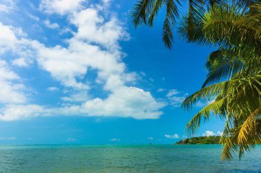 Güneşli tropikal plaj, palmiye ağaçları ile turkuaz Tayland deniz