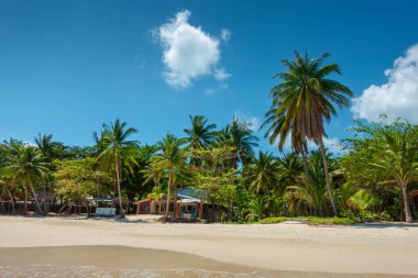 Tropik ada plaj beyaz kum ile.