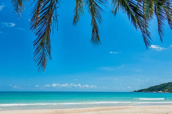 Kokosowe drzewo i morze na tropikalnej piaszczystej plaży. — Zdjęcie stockowe